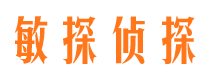 定结市侦探调查公司